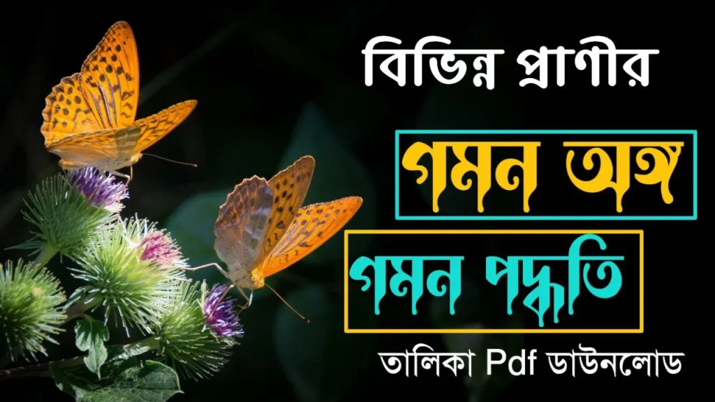বিভিন্ন প্রাণীর গমন অঙ্গ List of Locomotory Organs in Different Animals ও গমন পদ্ধতির নাম তালিকা (PDF সহ) | জীবনবিজ্ঞানের গুরুত্বপূর্ণ অধ্যায়